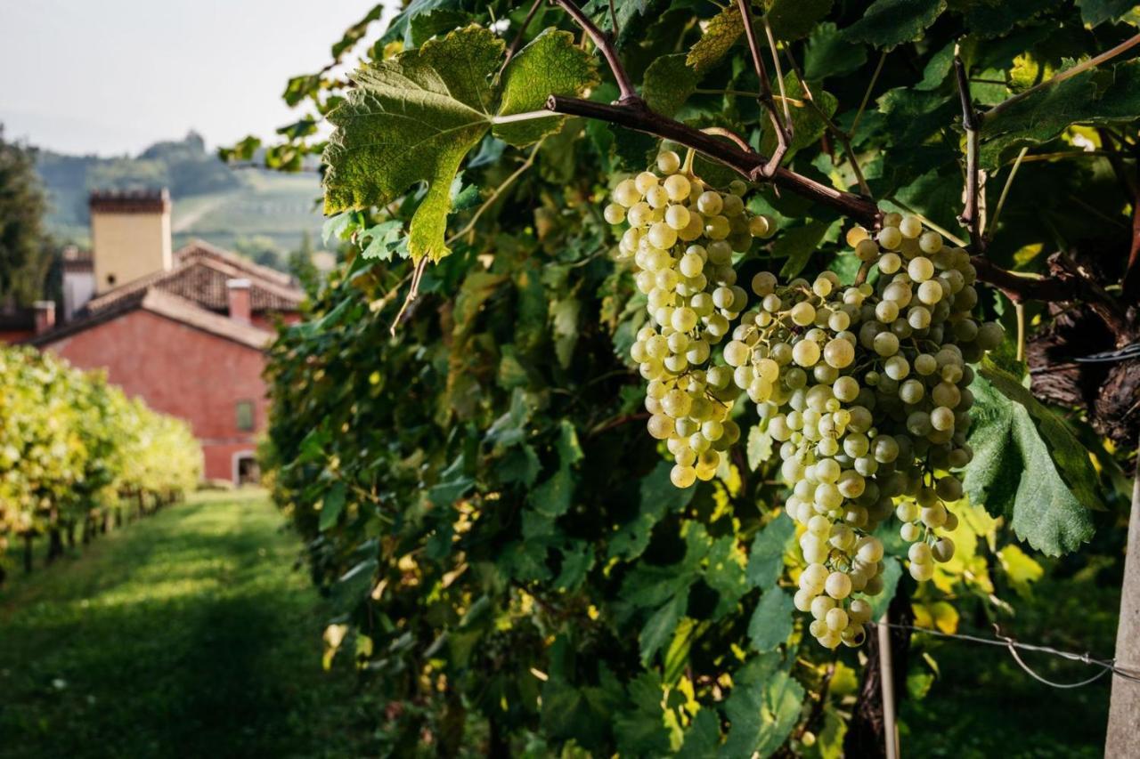 Villa Clementina - Prosecco Country Hotel San Pietro Di Feletto Buitenkant foto